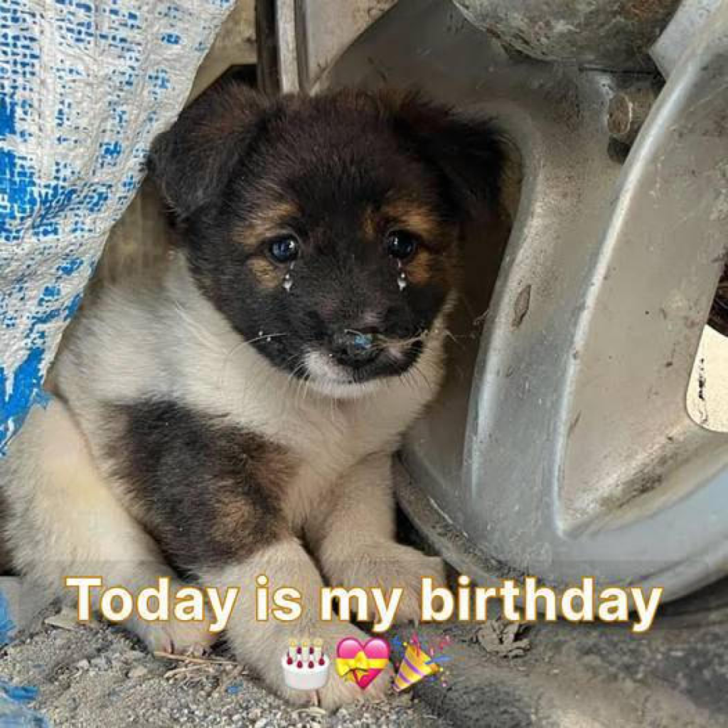 My special day feels emptier without any messages, even though I know I’m far from perfect 😔🎂.dvh