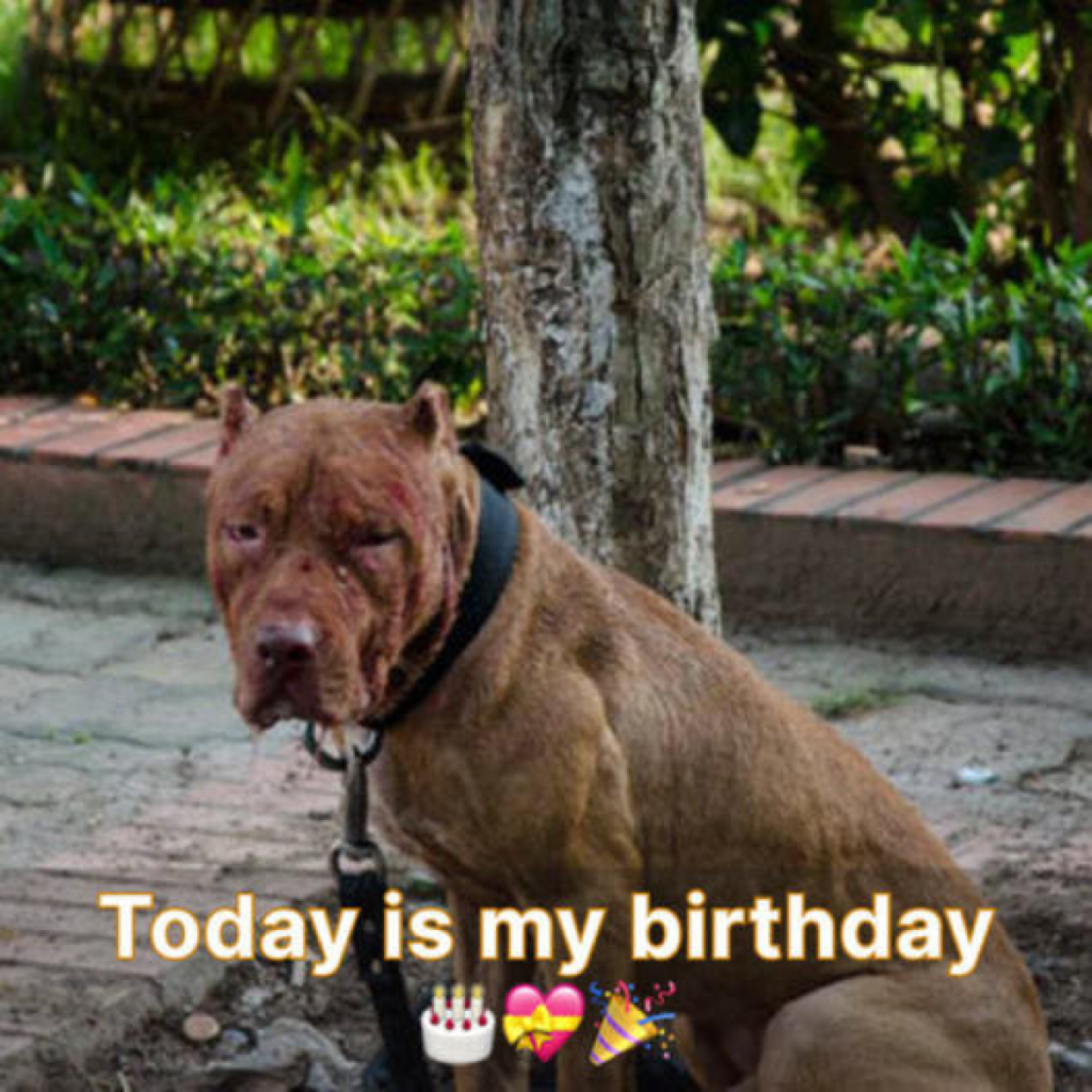 Today is my birthday. I feel sad because I haven’t received any birthday wishes.dvh