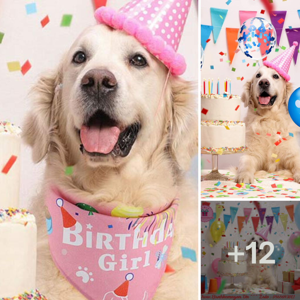 Today is my birthday but I can't be happy because my friends forgot it.anhxuan