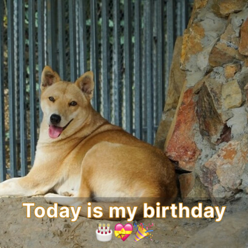 Even though it was a beautiful, sunny day, I felt sad because no one seemed to remember my birthday-pvth