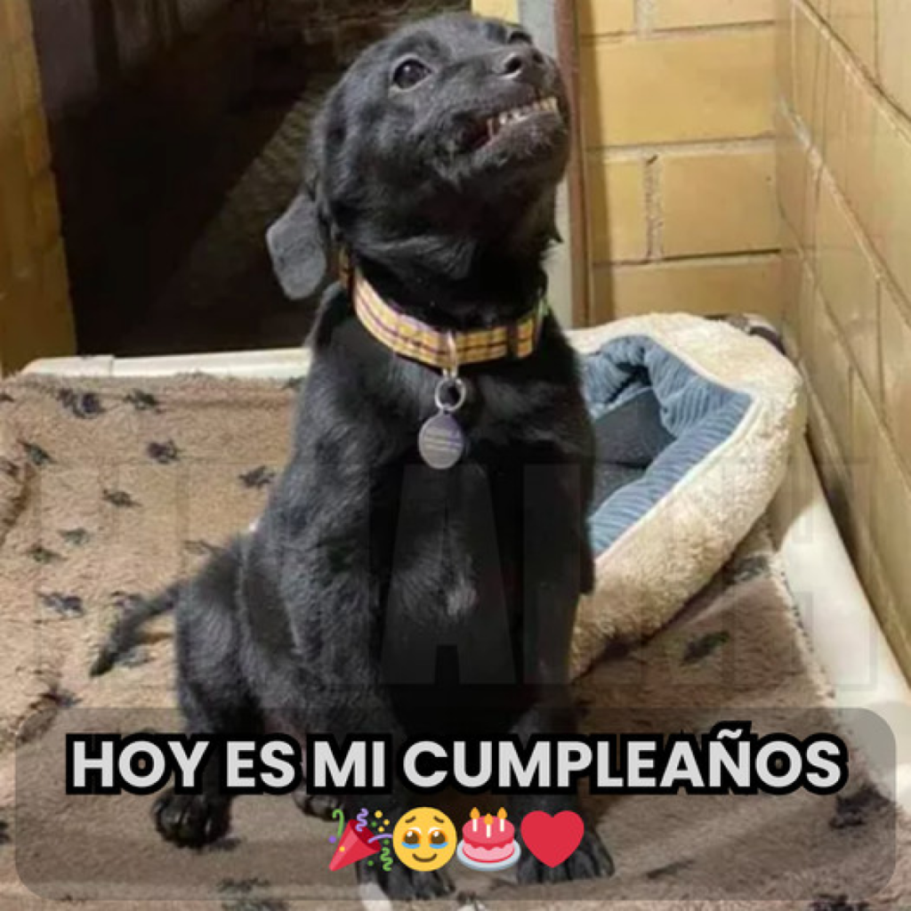 Hoy cumplo un año más, pero en vez de abrazos y mensajes, solo me acompaña la sensación de haber sido olvidado.-dtht