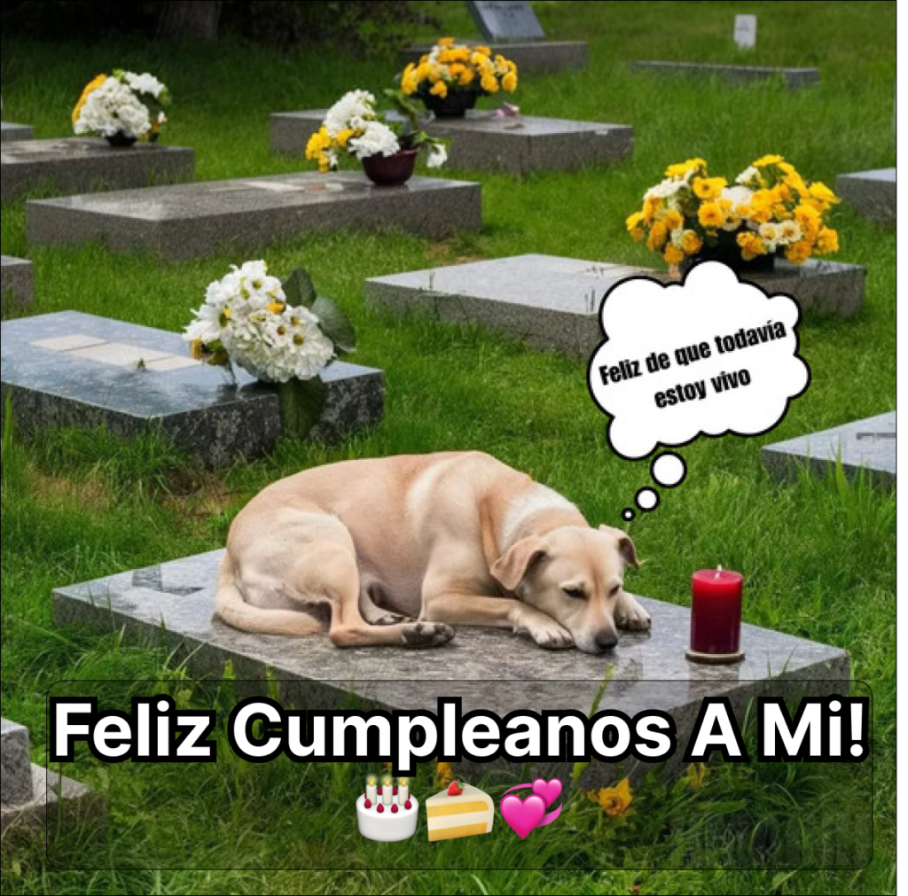 “Hoy es mi Cumpleaños: Un Día que Debería Brillar, Pero la Soledad se Apodera de Mí Sin los Deseos de Mis Seres Queridos 🎂😔” – dubi