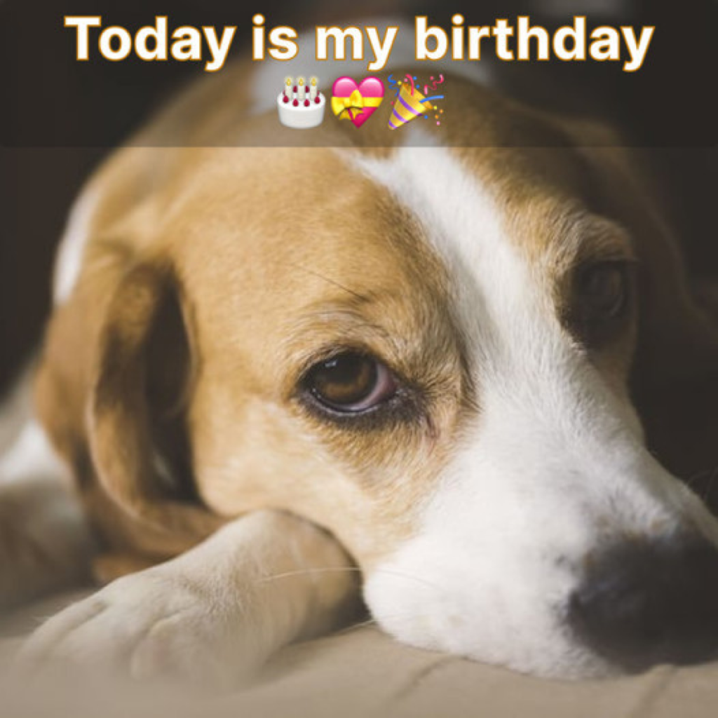 I thought my birthday would bring joy, but instead, it’s been filled with silence.-dtht