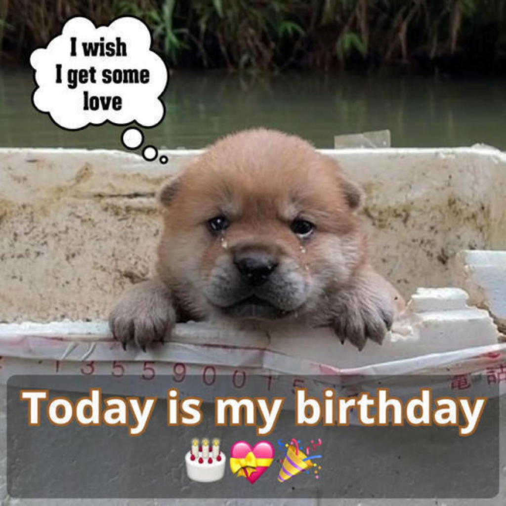 I thought today would be special, but without any birthday wishes, it feels like any other lonely day-dtht