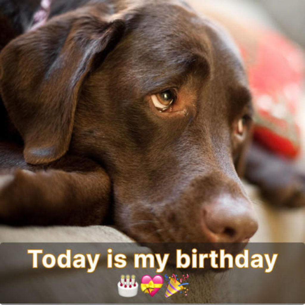 It’s my birthday, but the absence of kind words has left me feeling alone.-dtht