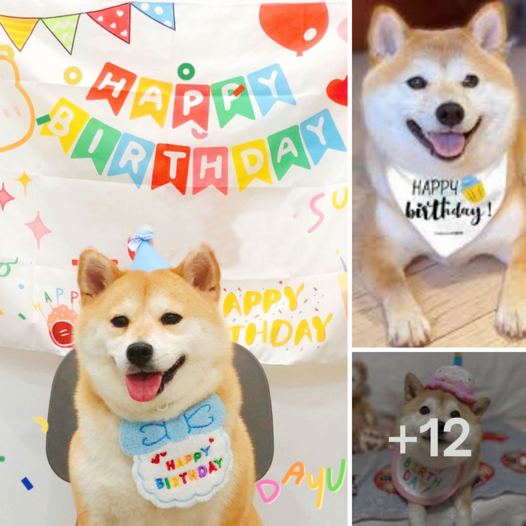 It's my birthday today, but I can't feel happy because my family forgot to celebrate.anhxuan