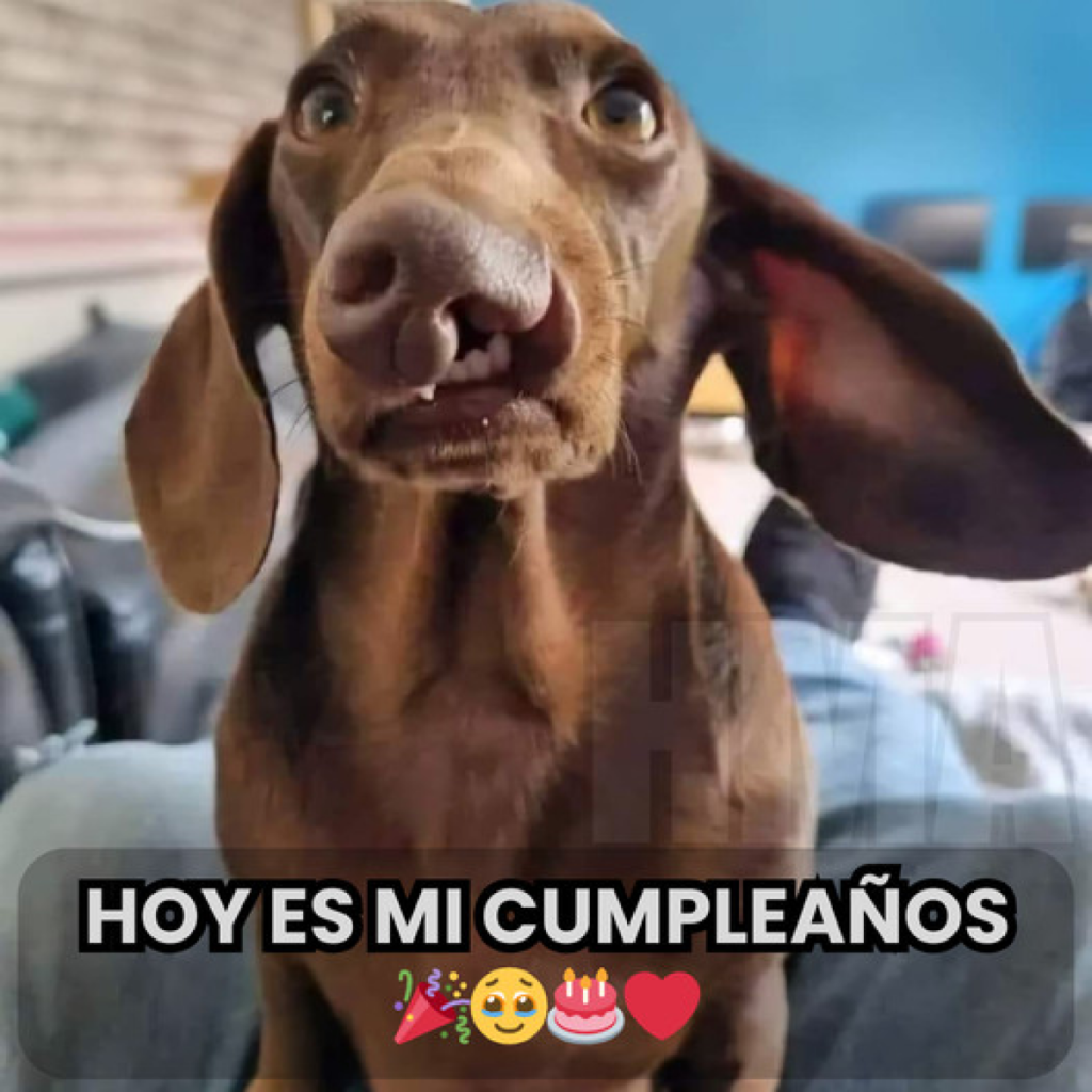 La Soledad en Días de Celebración 🎉💔dvh