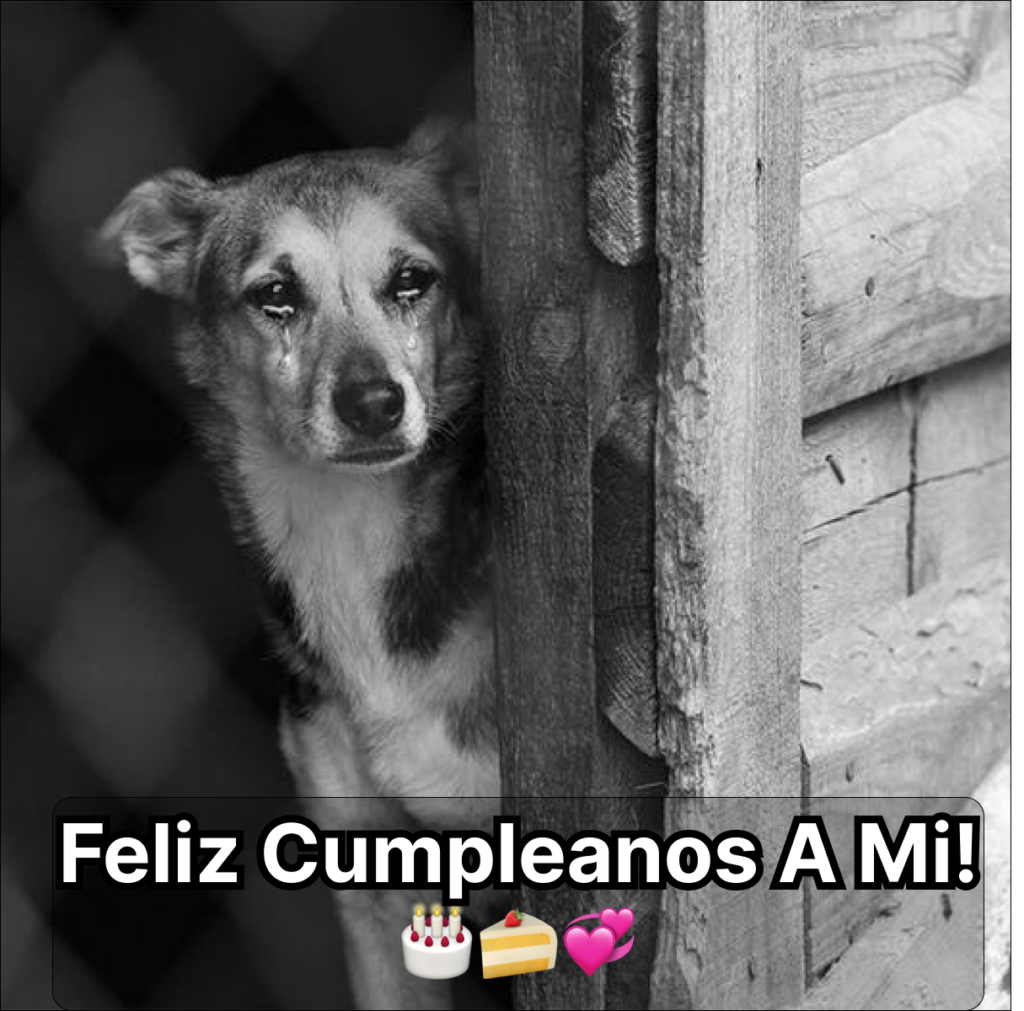 No Birthday Wishes Makes It Truly Lonely -dubi