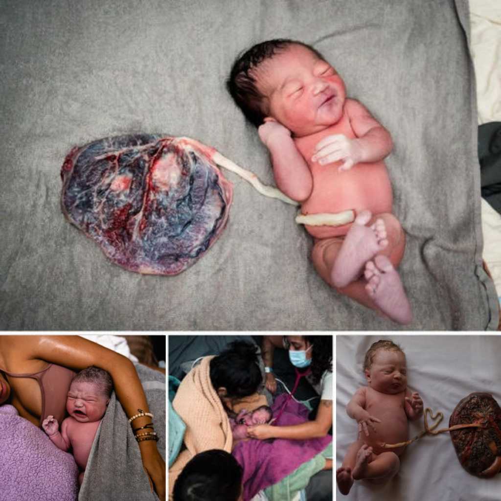 The Story Behind the ‘Red Bag’ and the Abandoned Newborn -ltbl