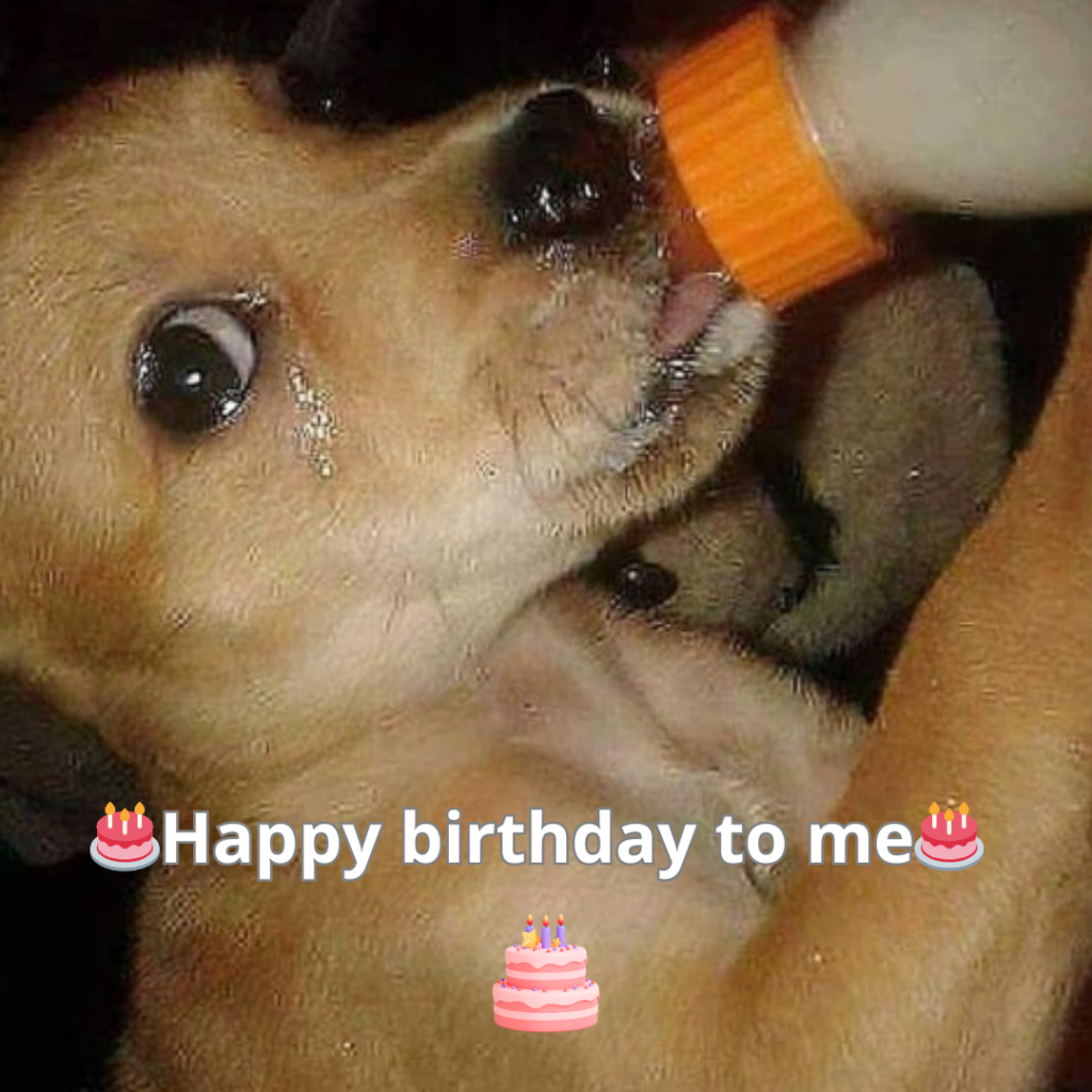 The quiet on my special day is making it tough to stay confident, and my self-esteem feels fragile. 😔🎂-long155