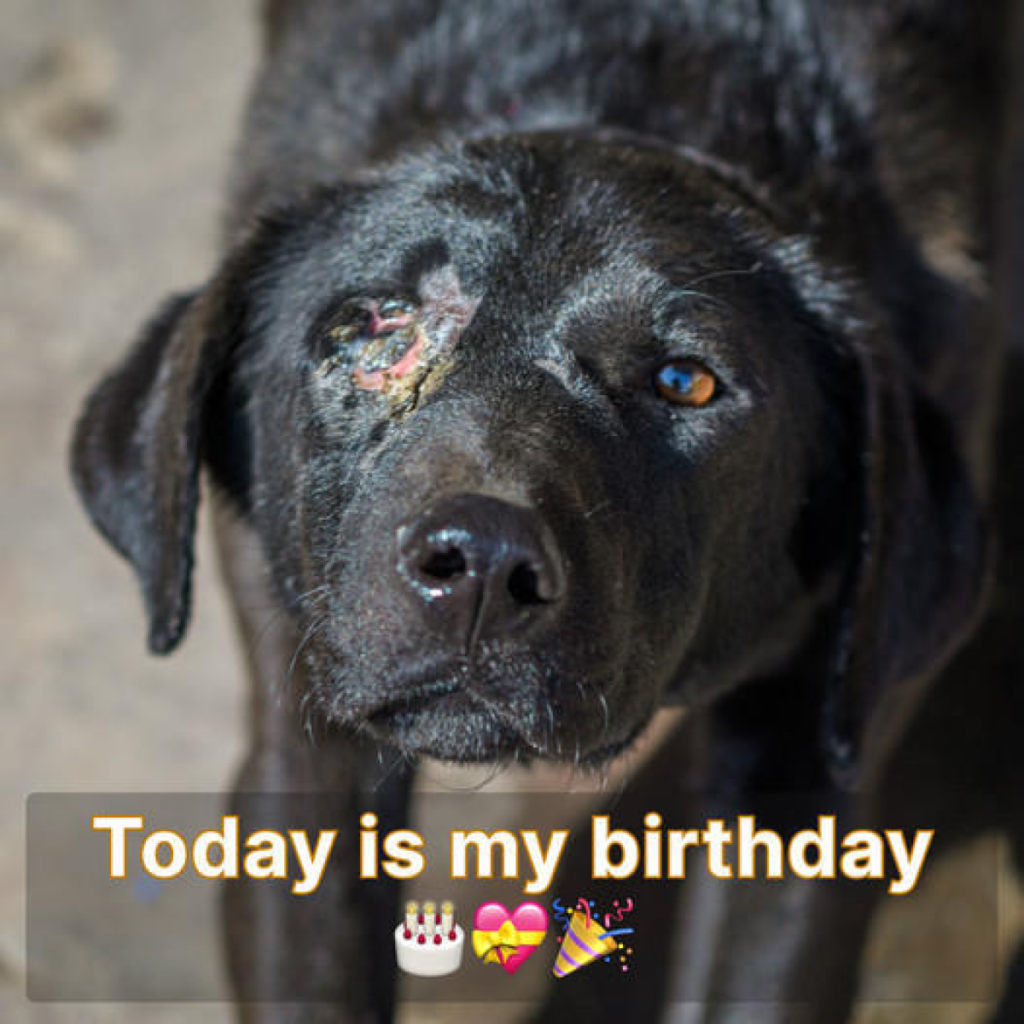 The silence is heavy today, slowly chipping away at my inner strength. 😔🎂dvh