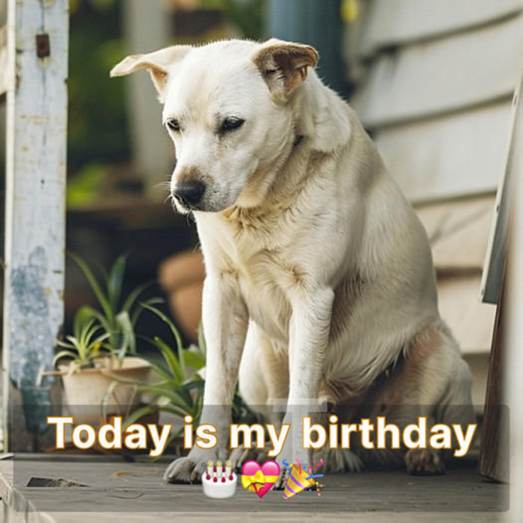The silence today is suffocating, draining my strength and making me feel fragile and weak. 😔🎂.dvh