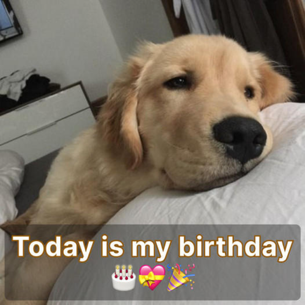 Though I know I’m not perfect, the absence of birthday wishes today leaves me feeling down 😔🎂-pvth