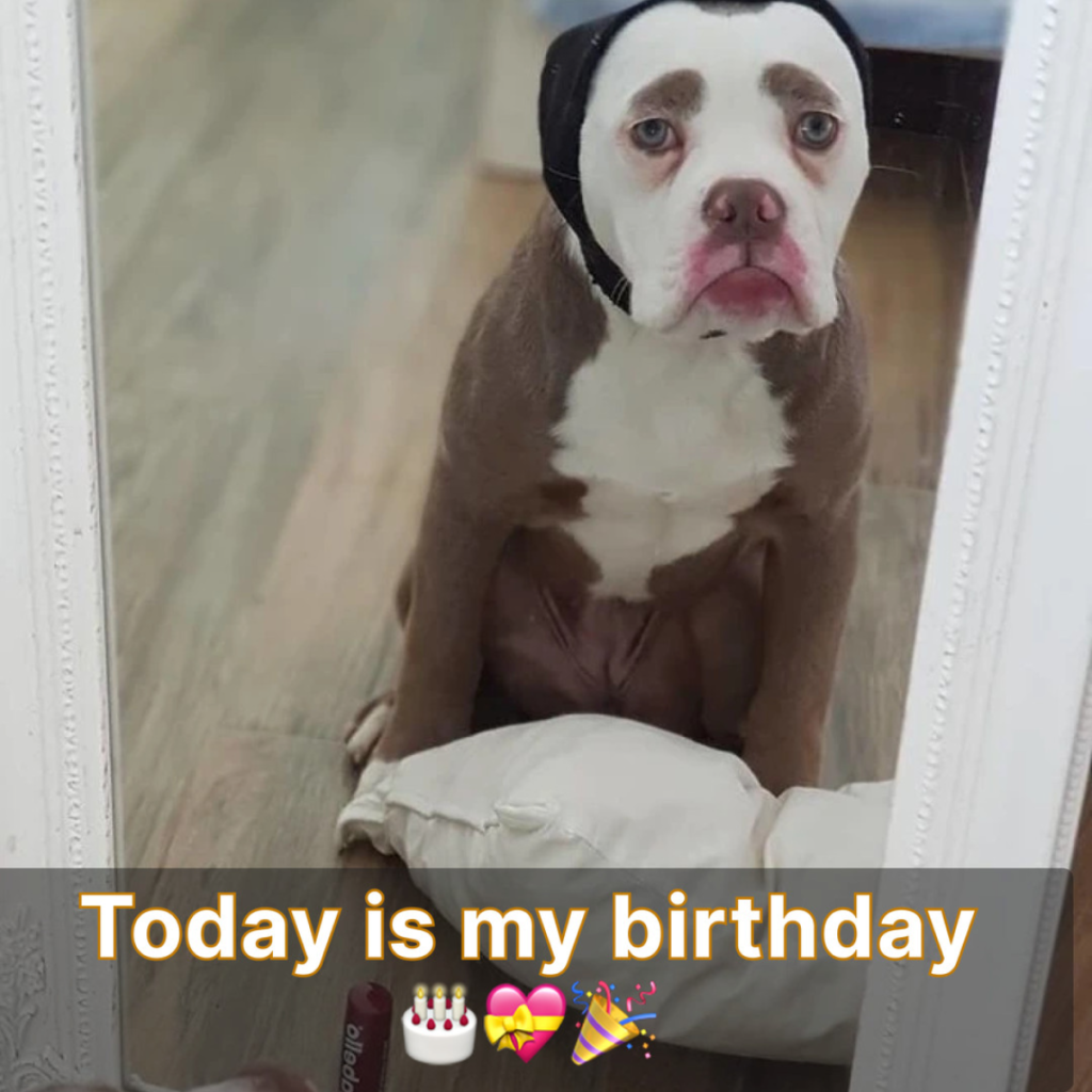 Today is my birthday, and I feel sad because I haven't received any wishes😔🎉 -pvth