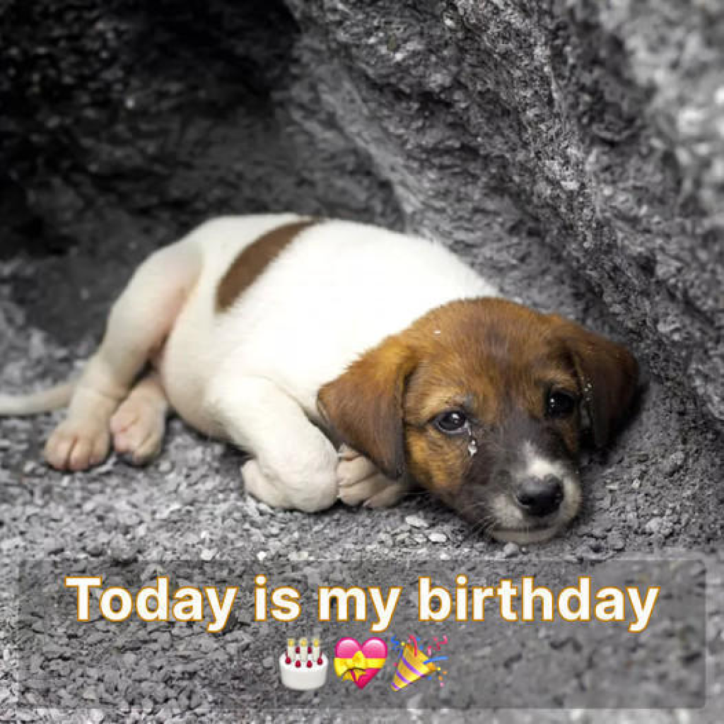 Today is my birthday but I’m happy to have a kind person celebrate my birthday -pvth