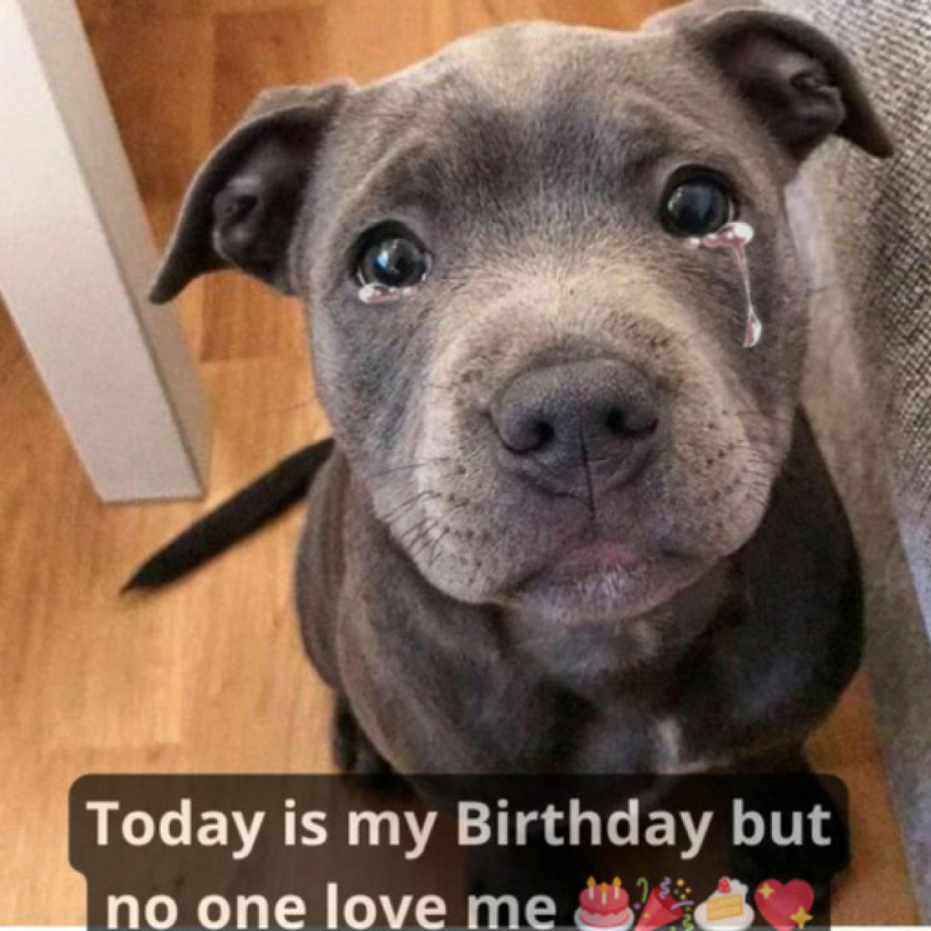 Today is my birthday, but everyone says I'm ugly and skinny, that's why no one wishes me a birthday.dvh