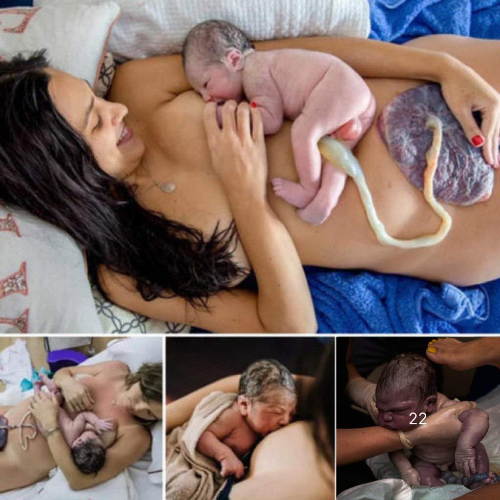 a mother’s first embrace of her newborn, an unforgettable experience treasured as the deepest bond for each new life entering the world -ltbl