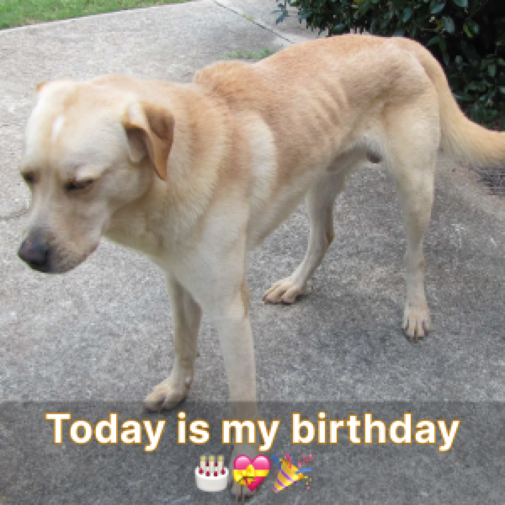 It's so quiet today, no one wants to come to my birthday party-pvth