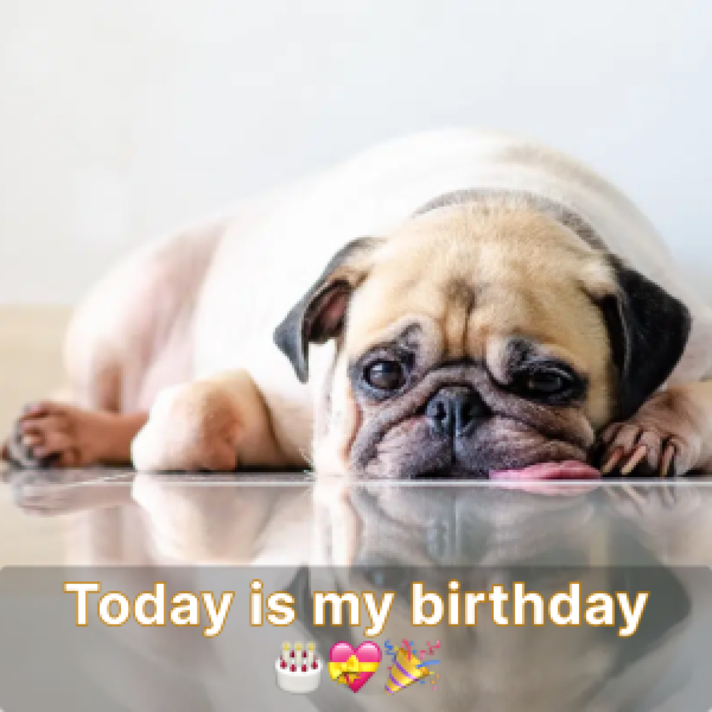 It's my birthday, but the lack of celebration leaves me feeling a little invisible-pvth