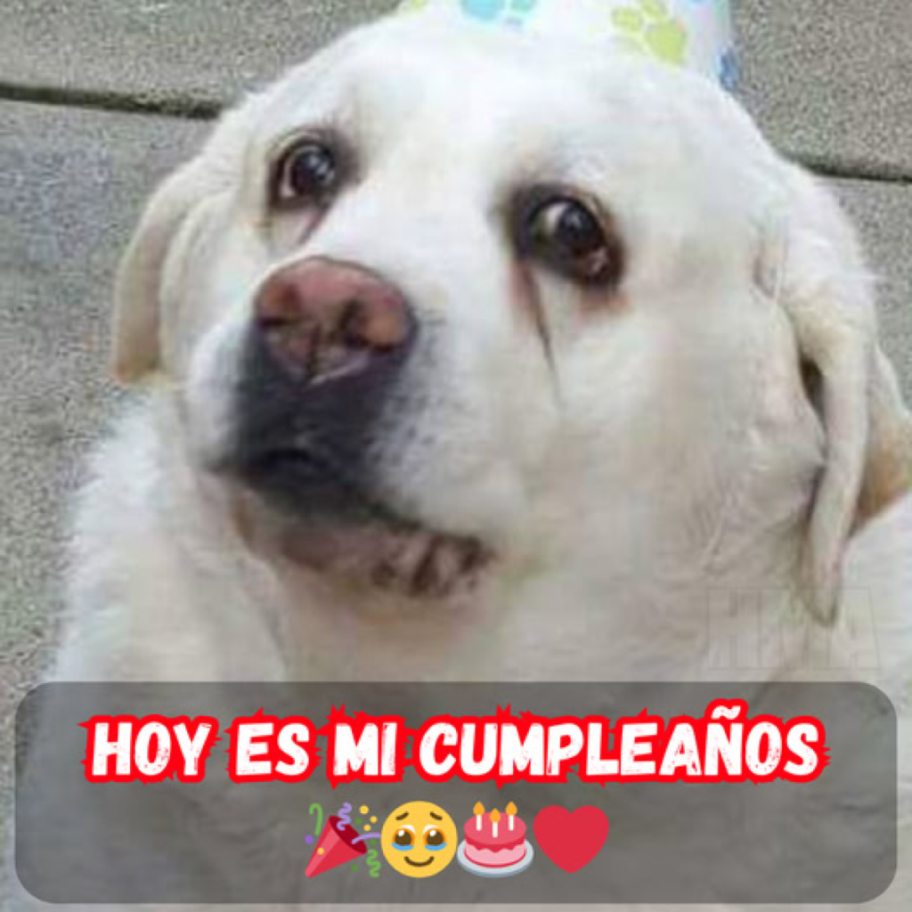 Hoy es mi cumpleaños y el silencio hasta ahora me ha hecho sentir olvidada. –