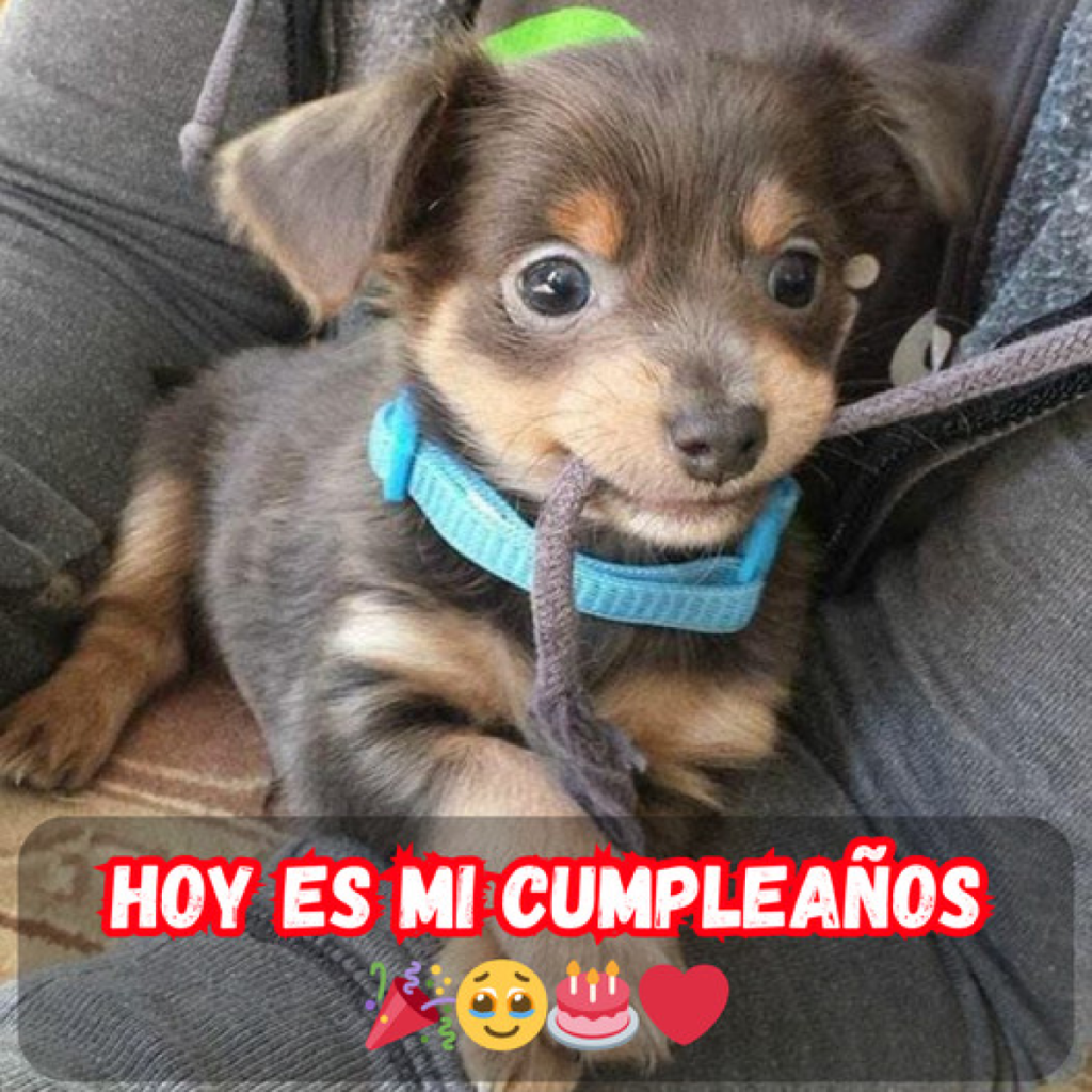 Hoy es mi cumpleaños y el silencio hasta ahora me ha hecho sentir olvidada. -dtht