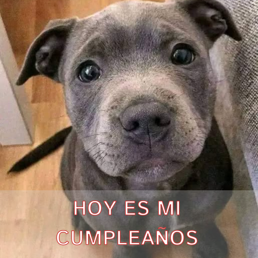 Hoy es mi cumpleaños, pero el día se siente incompleto mientras espero un deseo que no ha llegado.dvh