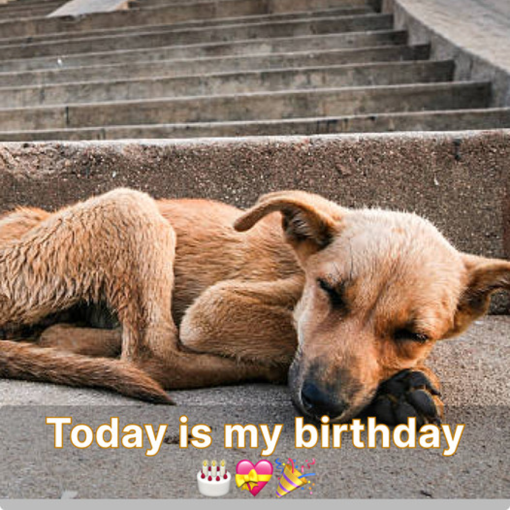 A Personal Experience On the day of my birthday, the morning light breaks through the window, and I rise with a mixture of anticipation and dread. As I go through my morning routine, I catch myself glancing at my phone, half-hoping for a flood of notifications to greet me. Instead, I am met with an unsettling stillness. The first hour passes, and the only sounds are the distant hum of traffic and the chirping of birds outside. The lack of messages begins to weigh on me. I scroll through social media, noticing how many others are celebrating their birthdays with cheers and warm wishes. A pang of sadness settles in my chest as I realize I am not among them. It’s as if I am living in a parallel universe where my special day is just another ordinary day. Reflection and Self-Worth As I navigate through the quiet of my birthday, I find myself reflecting on the concept of worth. Why do I tie my sense of value to the recognition I receive from others? Is my significance truly dependent on external validation? These questions linger in my mind as I try to rationalize the silence that surrounds me. In a world where so much emphasis is placed on social interaction and connectivity, it’s easy to forget that self-worth should stem from within. I remind myself that my value does not diminish because I do not receive the acknowledgment I hoped for. However, this realization does little to ease the feeling of loneliness that often accompanies my birthday. Seeking Connection in Different Ways As the hours go by, I contemplate different ways to celebrate my birthday, even in the absence of the traditional festivities. Perhaps I could treat myself to something special—a favorite meal, a walk in nature, or indulging in a beloved hobby. These small acts of self-love can provide a much-needed boost, reminding me that I deserve joy, regardless of outside circumstances. I also consider reaching out to friends and family myself. While it may feel vulnerable to take the initiative, it’s essential to remember that people may be unaware of how much I value their acknowledgment. By sending a message or making a call, I open the door to connection, creating opportunities for others to share in my day, even if they didn’t remember it on their own. Finding Community and Support In times of feeling forgotten, I have discovered the importance of community. Connecting with others who may share similar experiences can foster a sense of belonging. Online forums, social media groups, and local meetups can provide spaces where individuals gather to celebrate one another, fostering mutual support and understanding. Additionally, volunteering or engaging in acts of kindness on my birthday can shift the focus away from my feelings of invisibility. By making a positive impact in someone else’s life, I can find fulfillment and joy in knowing that I am contributing to something greater than myself. This shift in perspective helps alleviate the weight of disappointment, turning what could be a lonely day into an opportunity for connection and generosity. Embracing the Future As my birthday comes to a close, I acknowledge the feelings of sadness and invisibility that have surfaced throughout the day. Yet, I also recognize that I am not alone in these sentiments. Many people experience similar feelings of neglect on their birthdays, and acknowledging this commonality can be comforting.