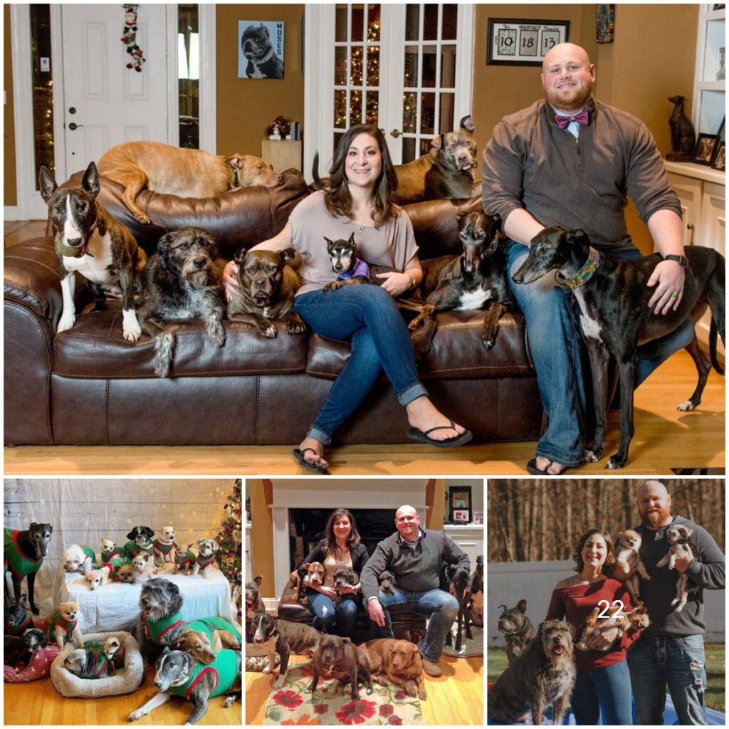 A compassionate couple opened their hearts and home to every senior dog at the shelter, providing a haven of love and care for their golden years! -ltbl