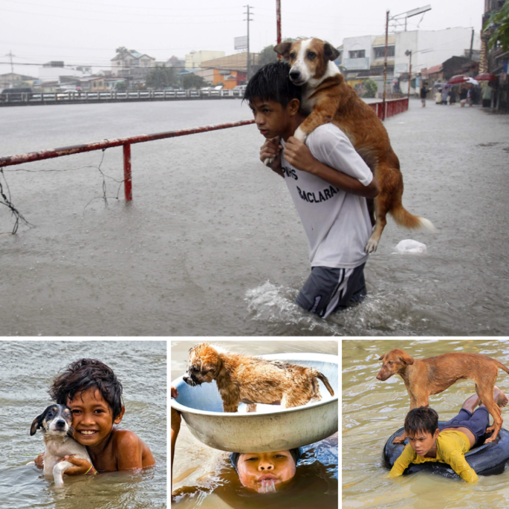 An 8-year-old orphan’s act of kindness in sheltering a stray dog from the rain has deeply moved viewers-pvth