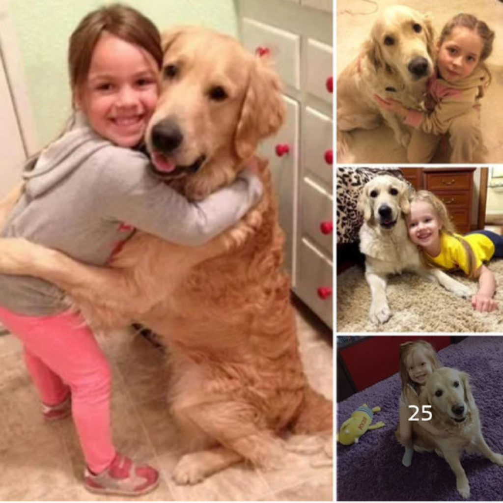El emotivo reencuentro entre un perro y su joven dueño tras 300 días separados ha capturado a millones, despertando curiosidad por la asombrosa historia detrás de su abrazo conmovedor.-dtht