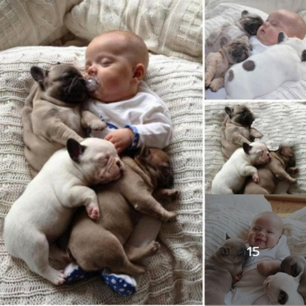 Emotivas fotos revelan la conexión especial entre un bebé y su peludo amigo dormilón, prometiendo sacar una sonrisa hasta al corazón más frío.-dtht