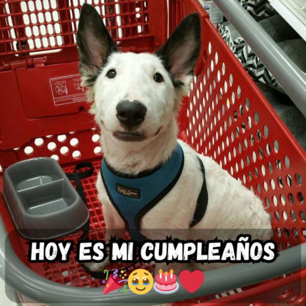 Hoy es mi cumpleaños y el silencio hasta ahora me ha hecho sentir olvidada. –