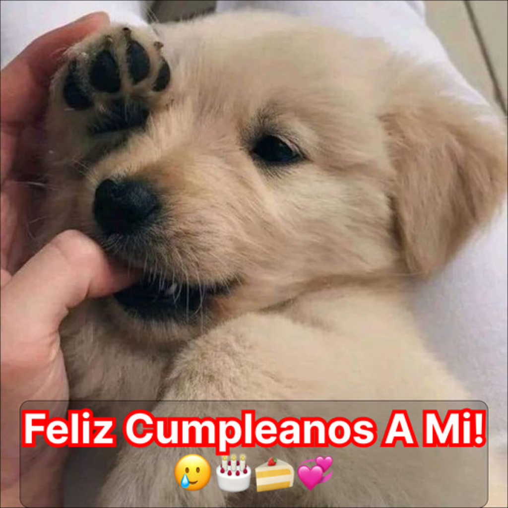Hoy es mi cumpleaños y me haría muy feliz recibir tus felicitaciones.dvh