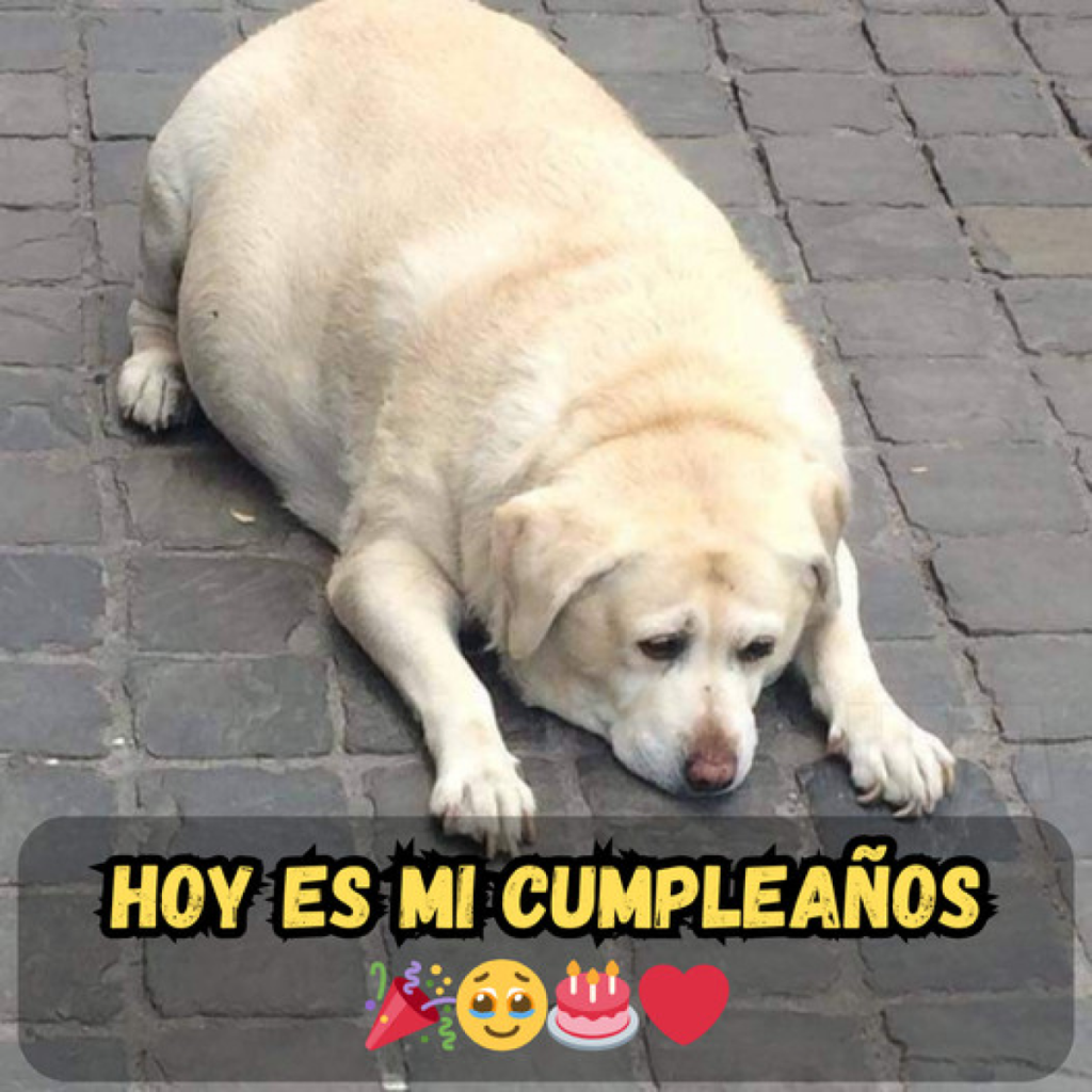 Hoy es mi gran día, pero la falta de atención lo hace sentir como un día cualquiera. -dtht