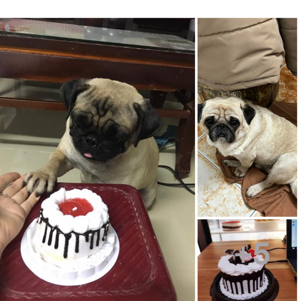 I feel lonely because it's my birthday but I don't get any birthday wishes.anhxuan