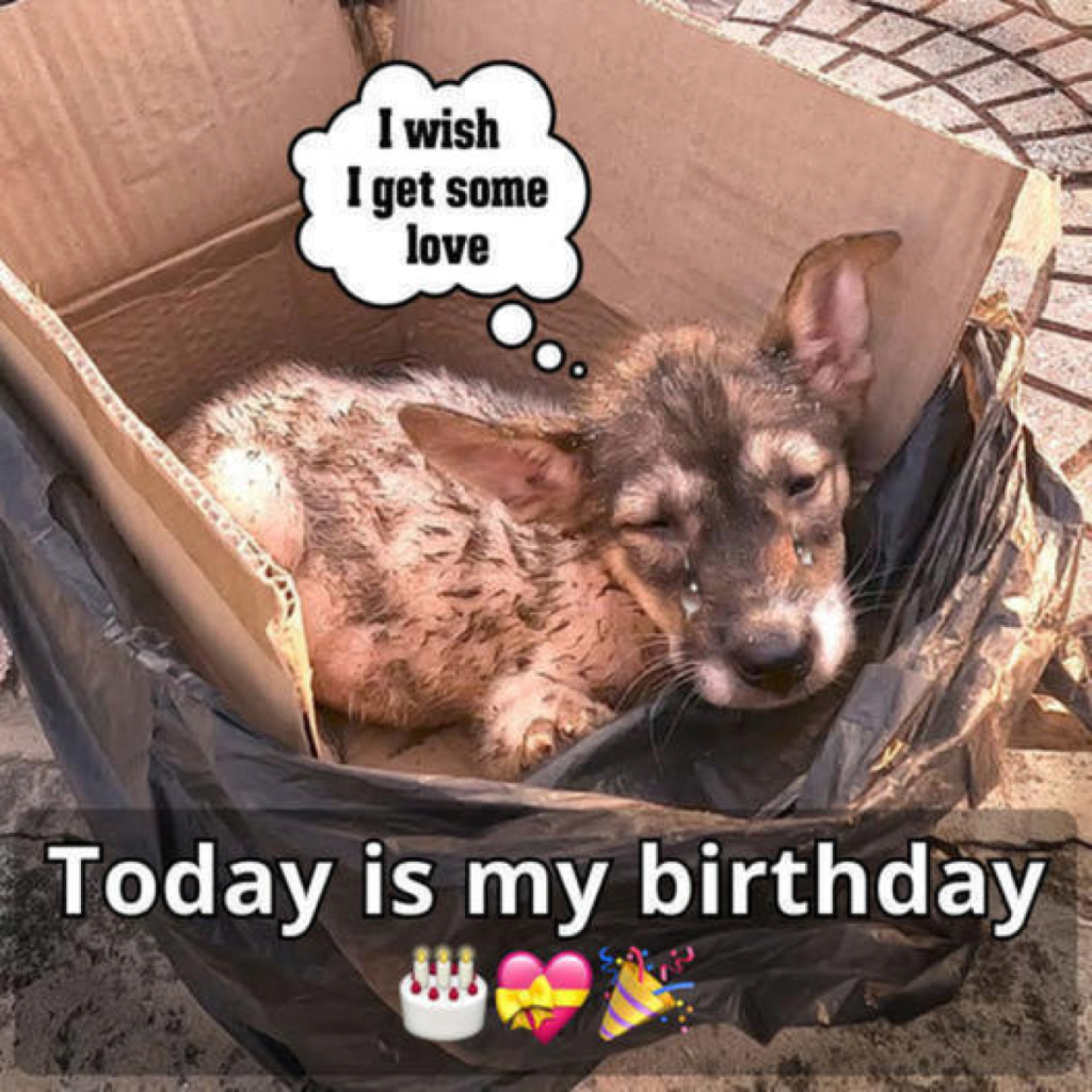 In this calm, every buried worry seems to rise to the surface, uninvited😔🎂-pvth