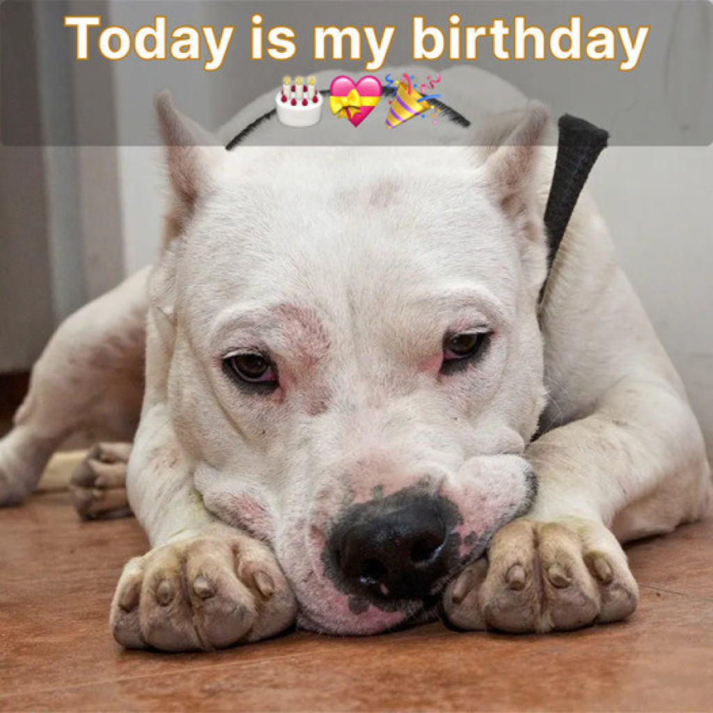 It's my birthday today, and your kind wishes mean everything to me.dvh