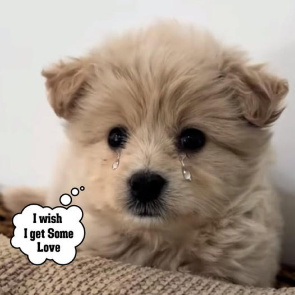 It's my birthday today, but I feel sad since no one has sent me any birthday wishes. -dtht
