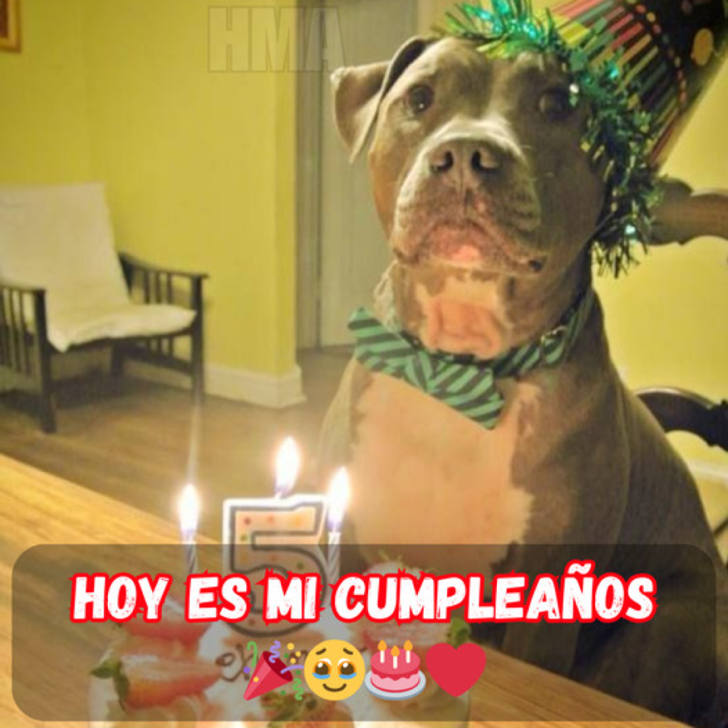 Los regalos más inesperados y valiosos que recibí en mi cumpleaños. -dtht