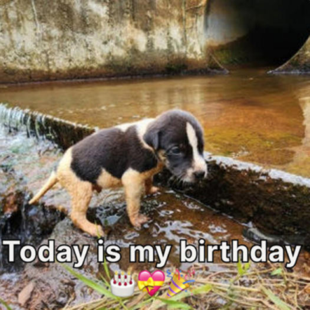 My birthday arrived, but the lack of well wishes has made it feel less meaningful.dtht