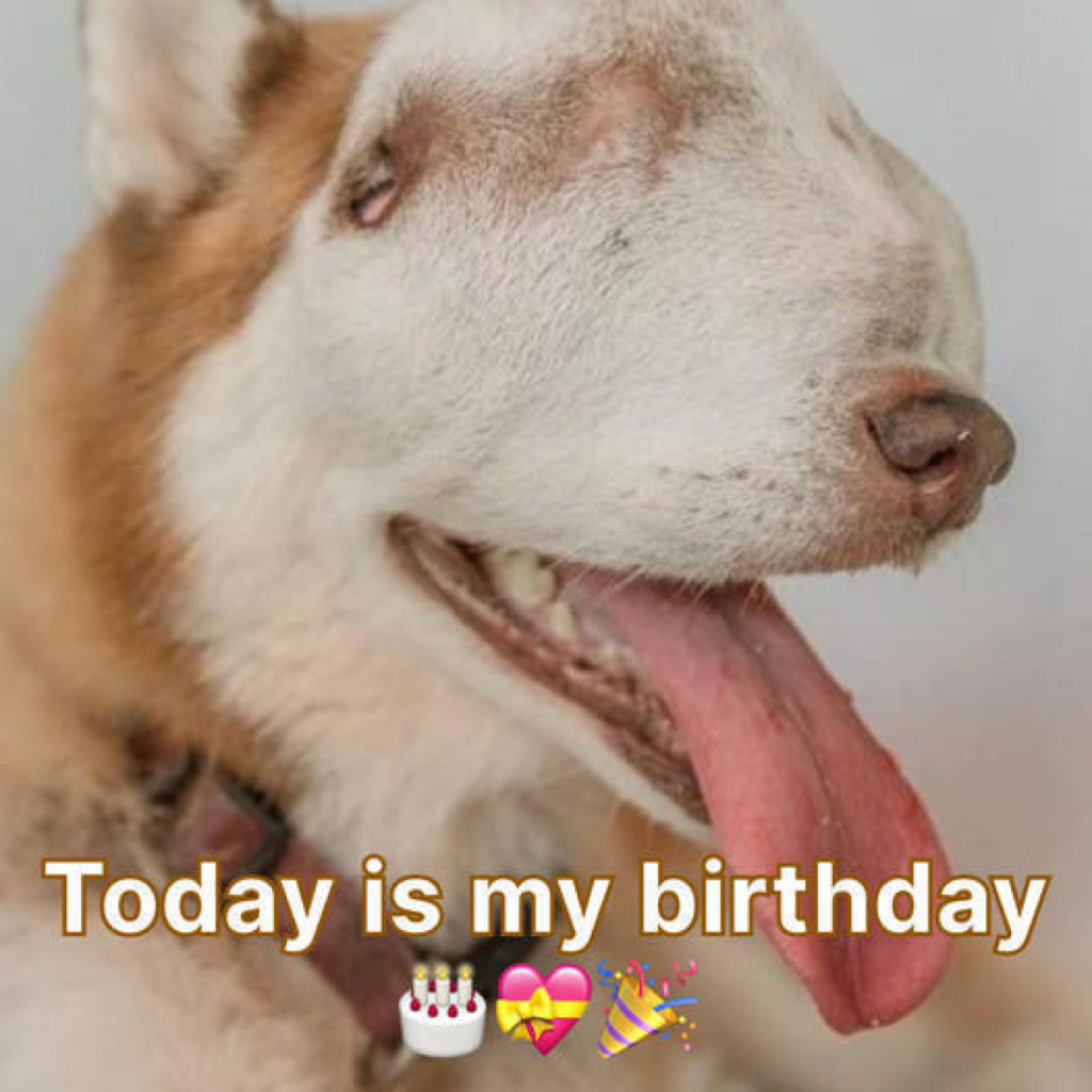 My birthday feels incomplete without a single wish to make it special. -