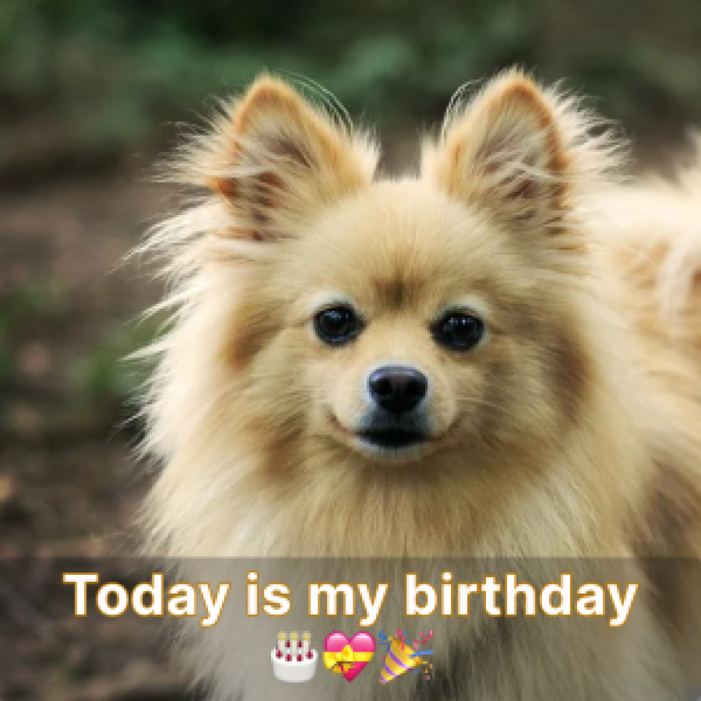 My birthday passed, and it seems like everyone forgot about it-pvth