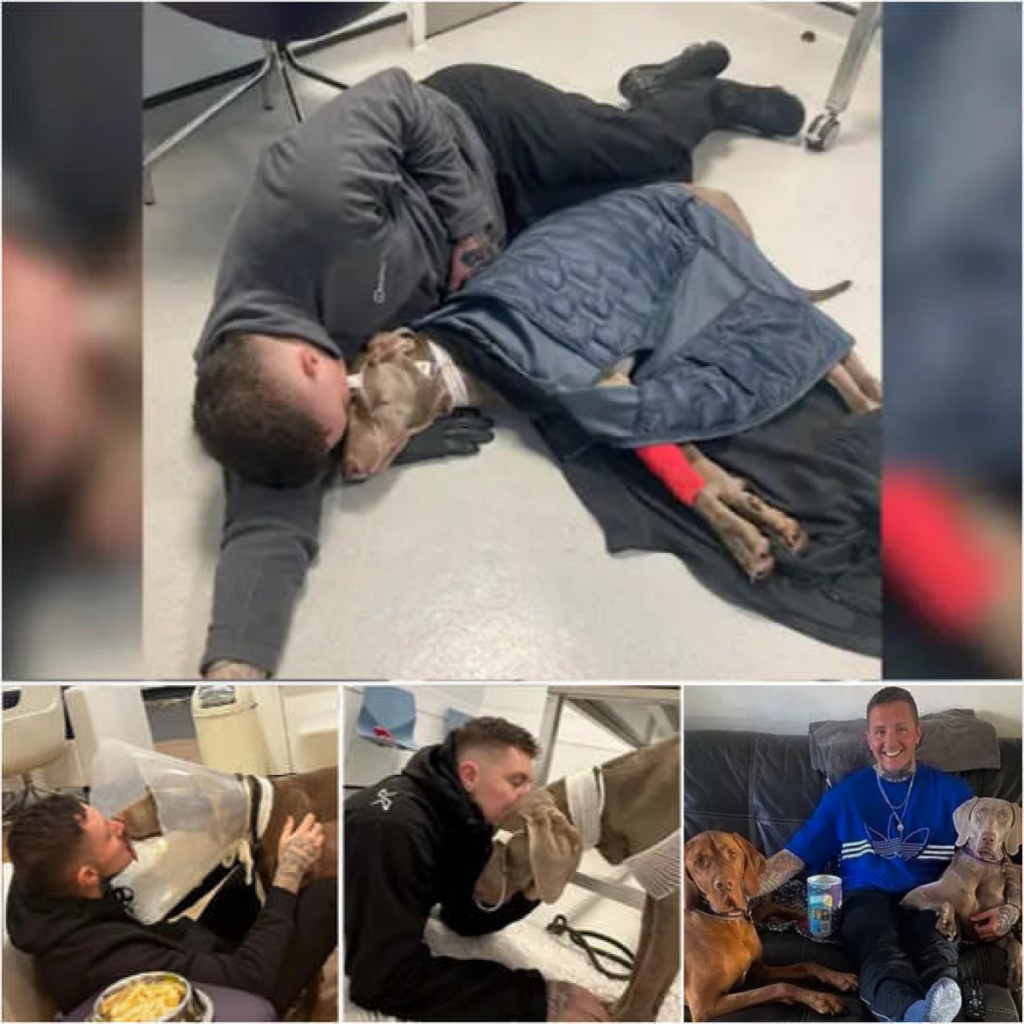 Selling His Home to Cover a $24,000 Vet Bill, He Proves the Depth of His Love for His Beloved Pet -ltbl