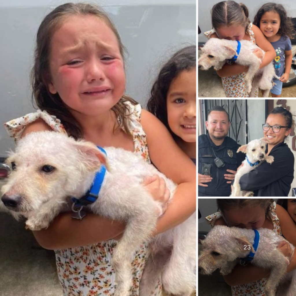 Tears of joy fill the air as a long-lost pet dog finally returns home, bringing immense happiness to a young boy who has missed him deeply-pvth
