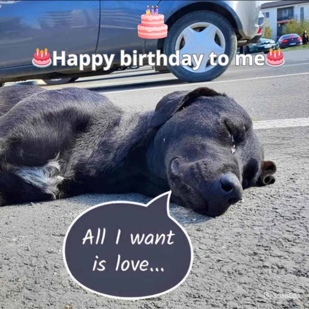 The calmness today feels relentless, chipping away at my inner strength. 😔🎂 -long155