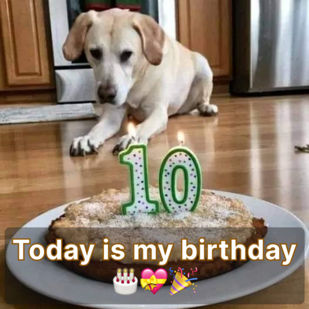 The quiet feels almost suffocating, leaving me questioning myself 😔🎂-pvth