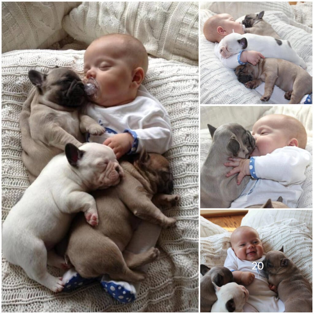 The tender bond between a baby and a dog peacefully sleeping side by side is beautifully captured in heartwarming photos that resonate with everyone -ltbl