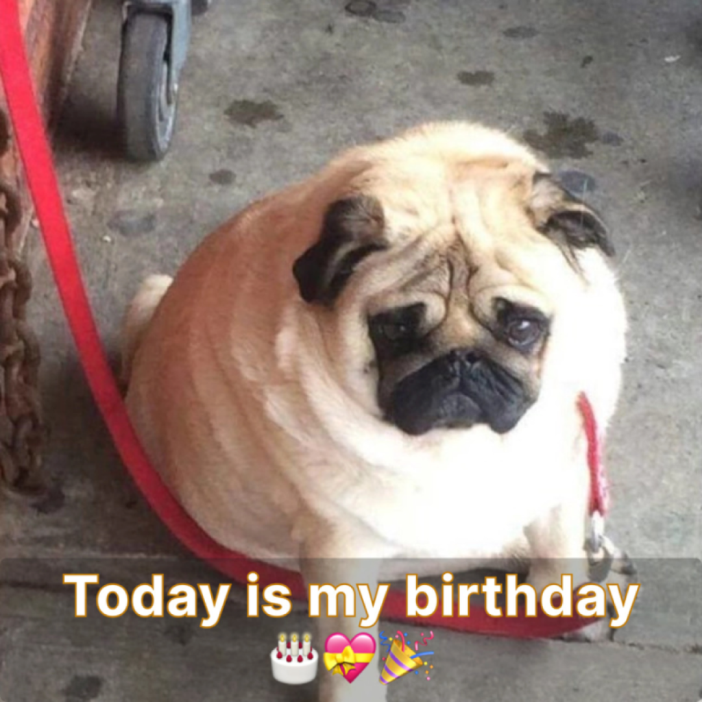 Today is a special day for me but people don't wish me a happy birthday-pvth