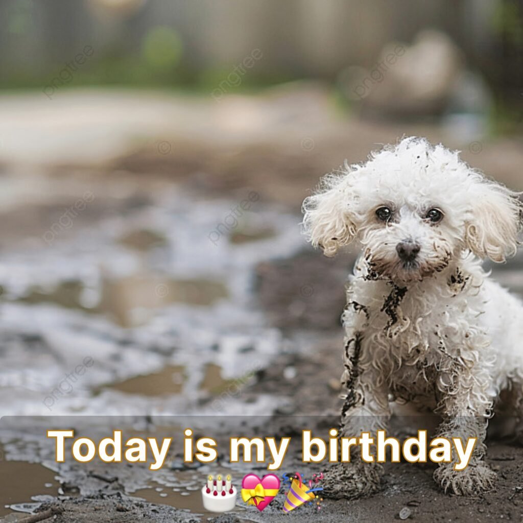 Today is a special day for me: my birthday.anhxuan