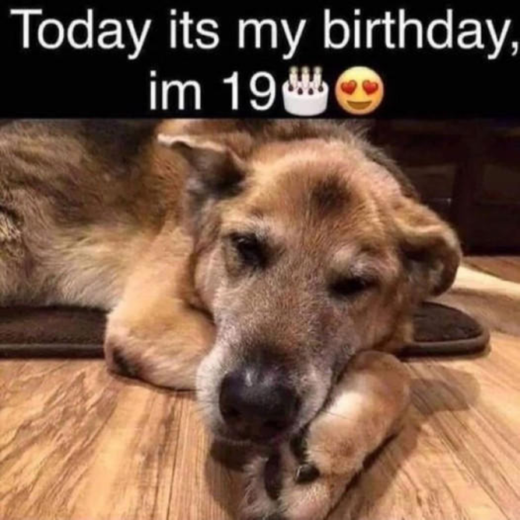 Today is my 19th birthday, I hope someone sends me wishes, wishing my friends good luck. -dtht